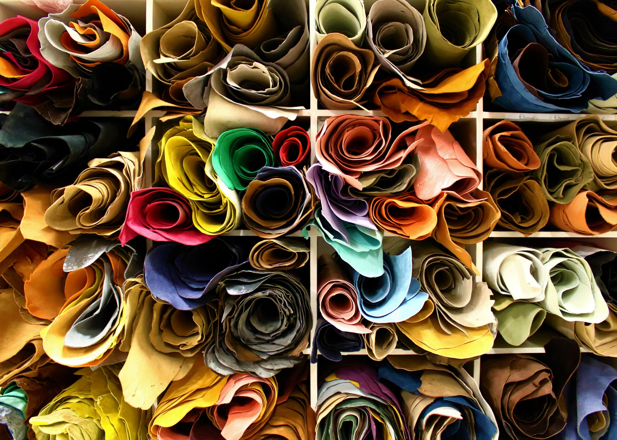 IMG_4617 Sustainability https://www.sscgrp.in/wp-content/uploads/2022/04/IMG_4617-Sustainability-scaled.jpg